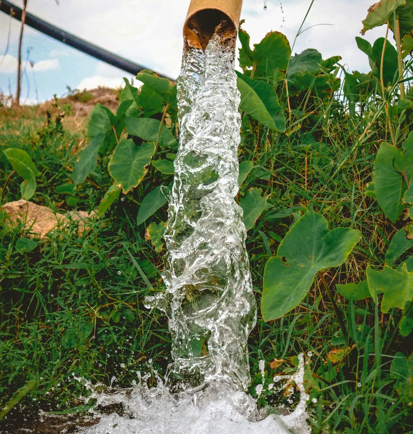 Water gushing from a pipe into a planted garden bed